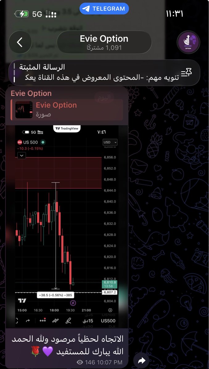 Evie Option tweet media