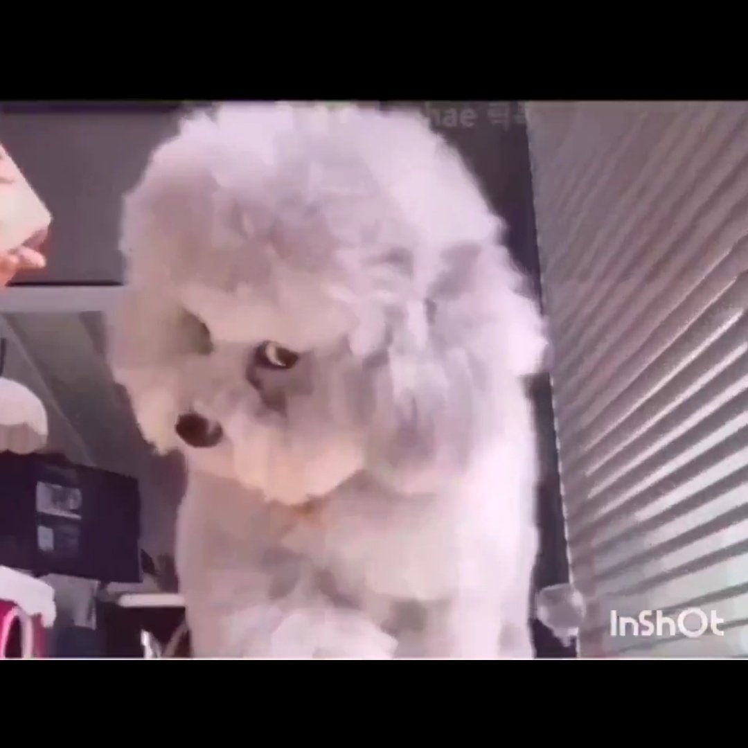 Isprikritik tweet media