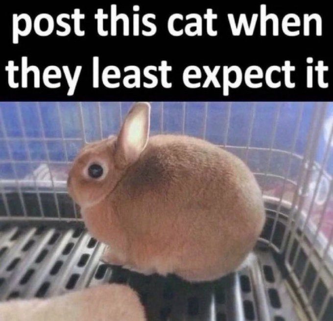azan tweet media
