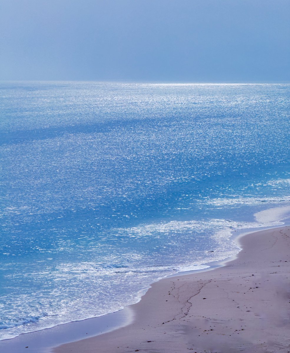 أَبو العز 🖤🌊 tweet media