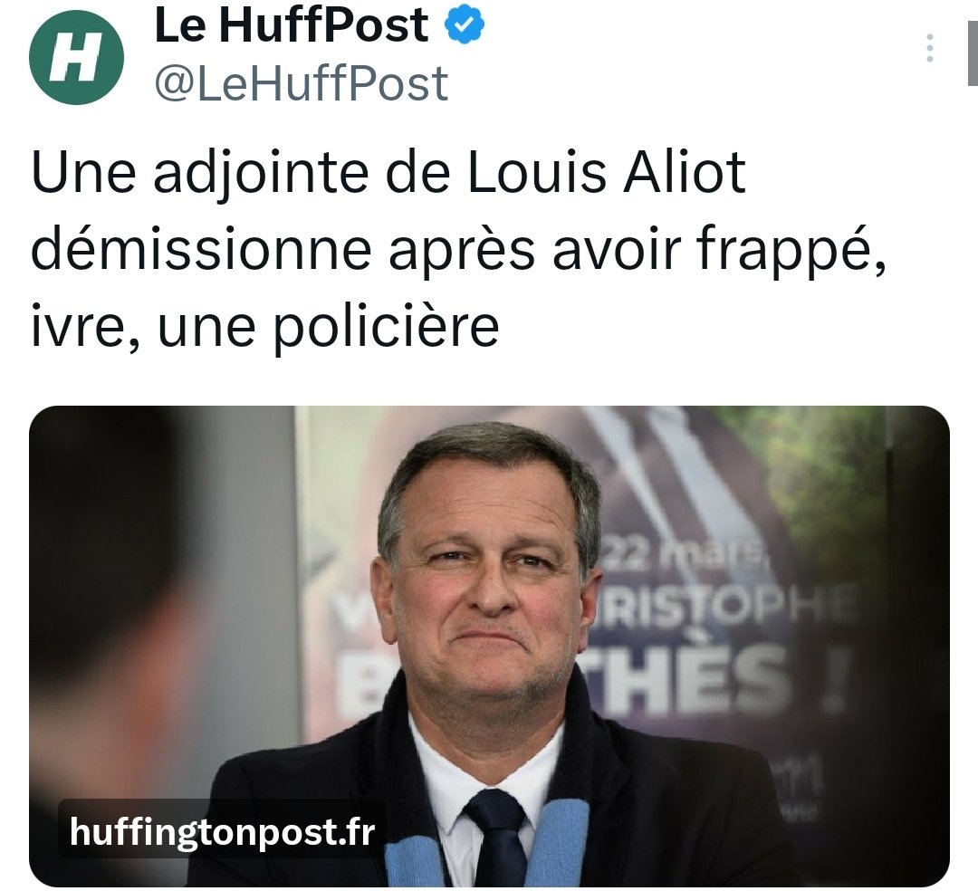 Bob 🐢 tweet media