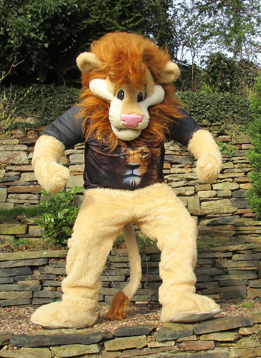 the-mascot-collector tweet media