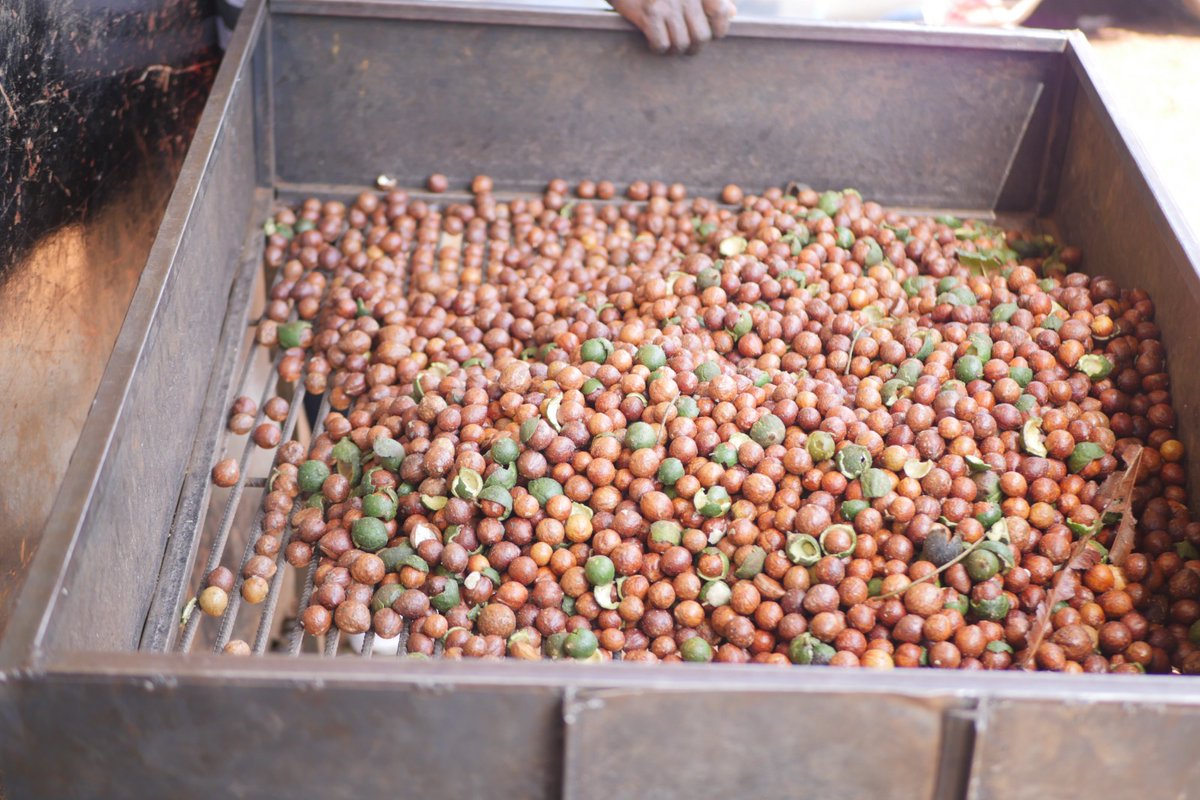 Agriculture and Food Authority- Kenya tweet media