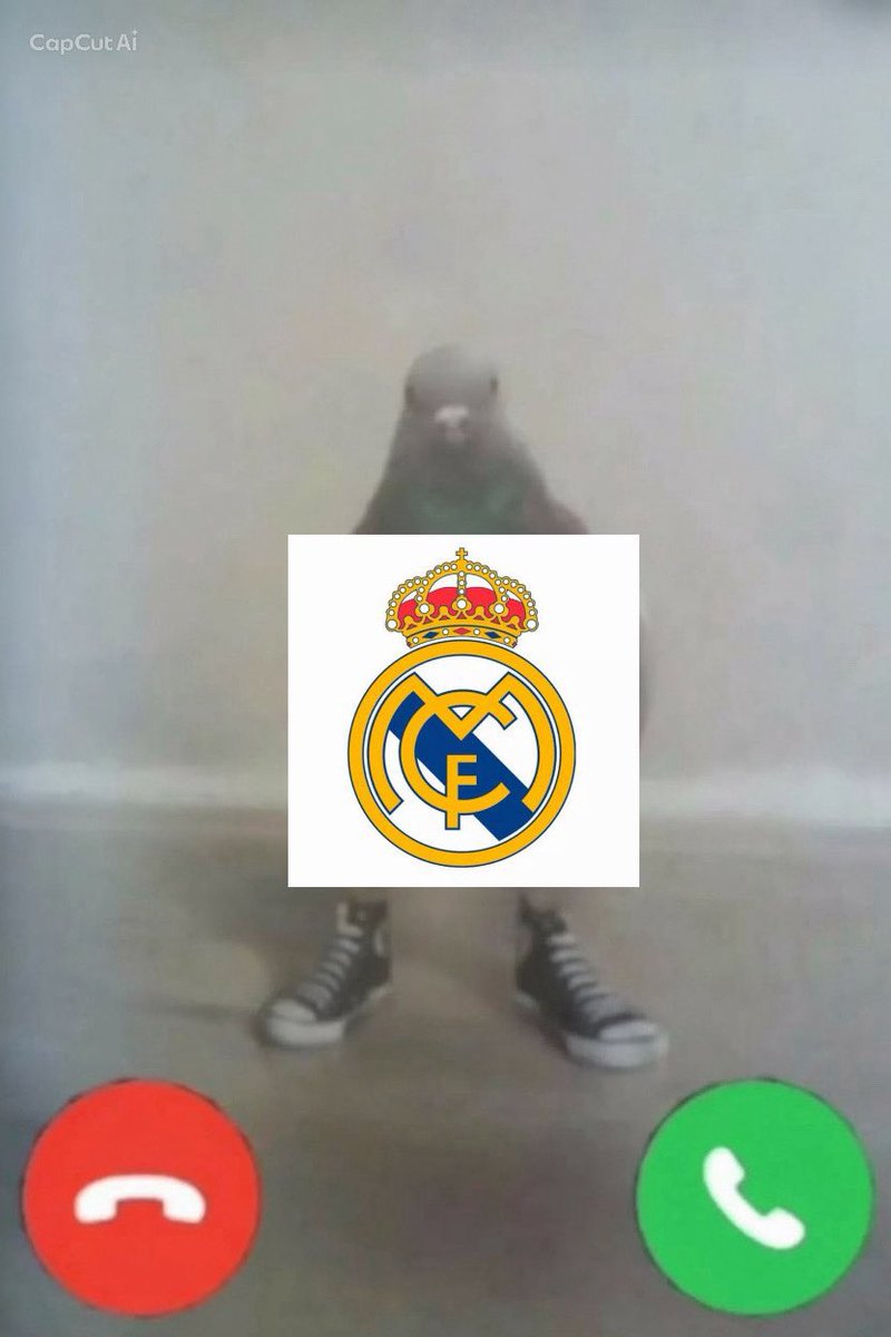 ريان tweet media