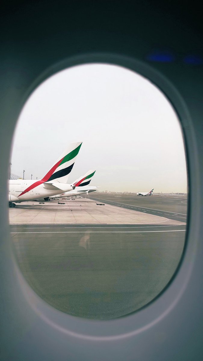 عوشة عبيد tweet media