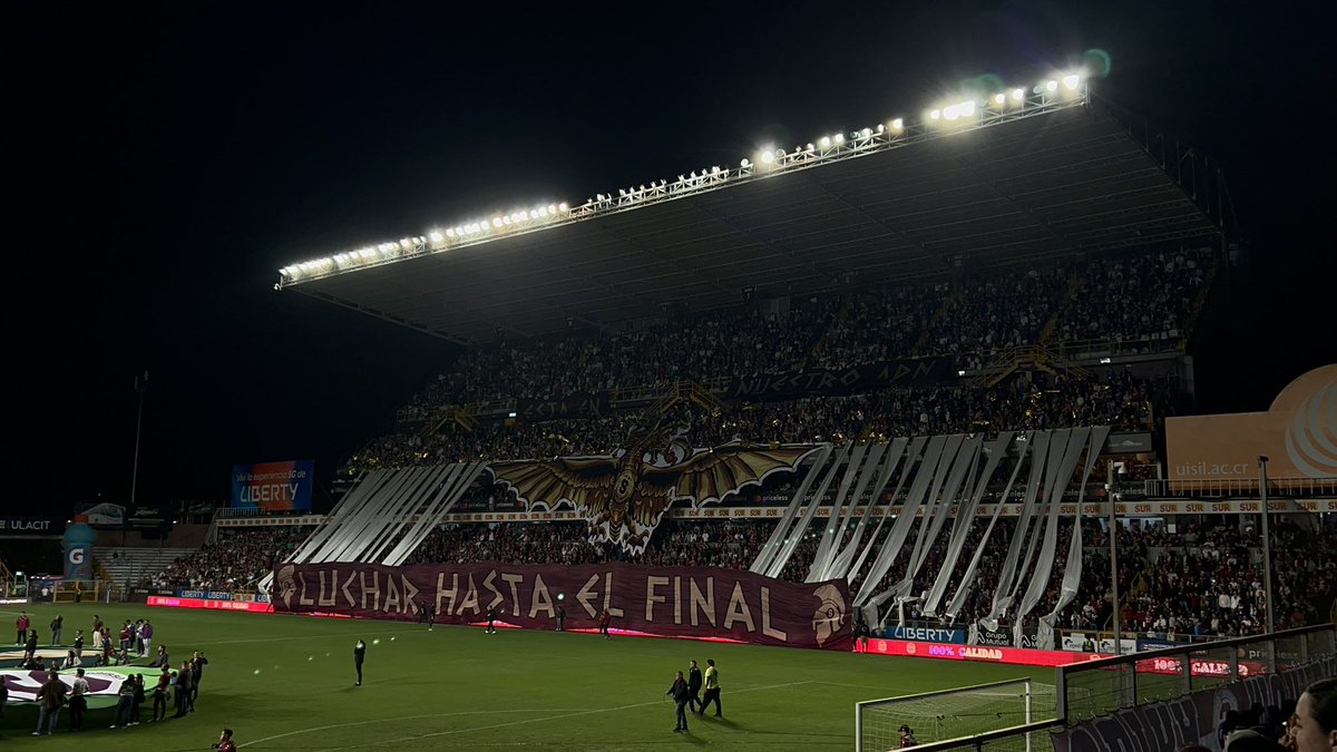 m o r a r d a tweet media