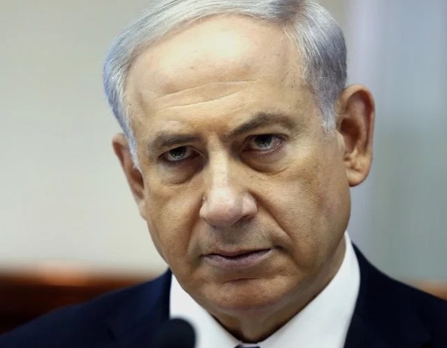 Mr. Whale tweet media