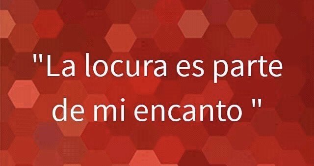 BELLCAT BUTTERFLY tweet media