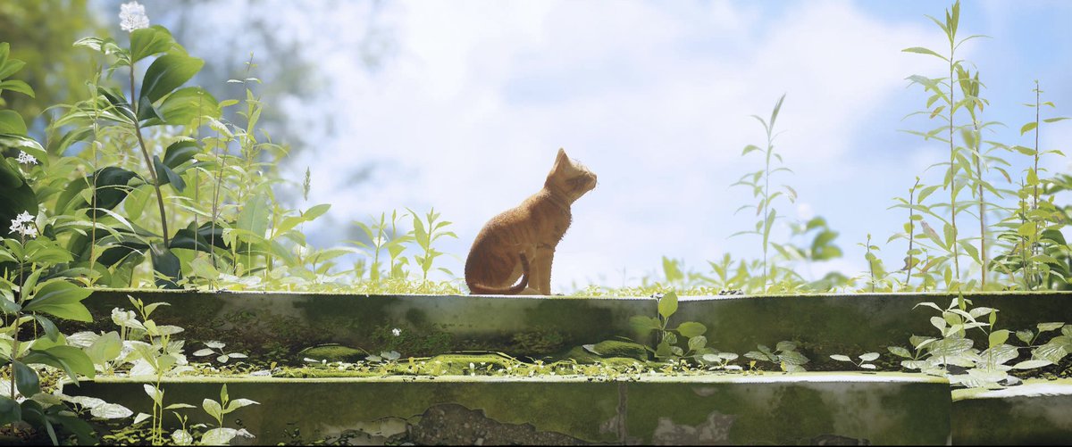 Coeur2rap tweet media