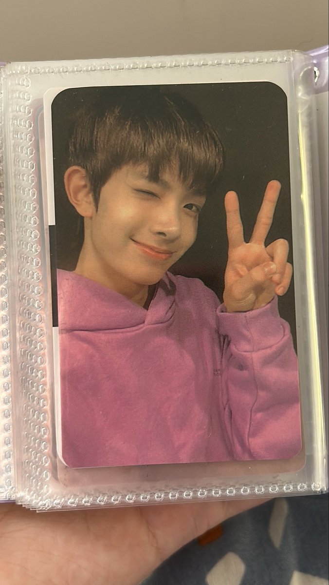 livs; ENHYPEN IS 7! 🇧🇷 tweet media