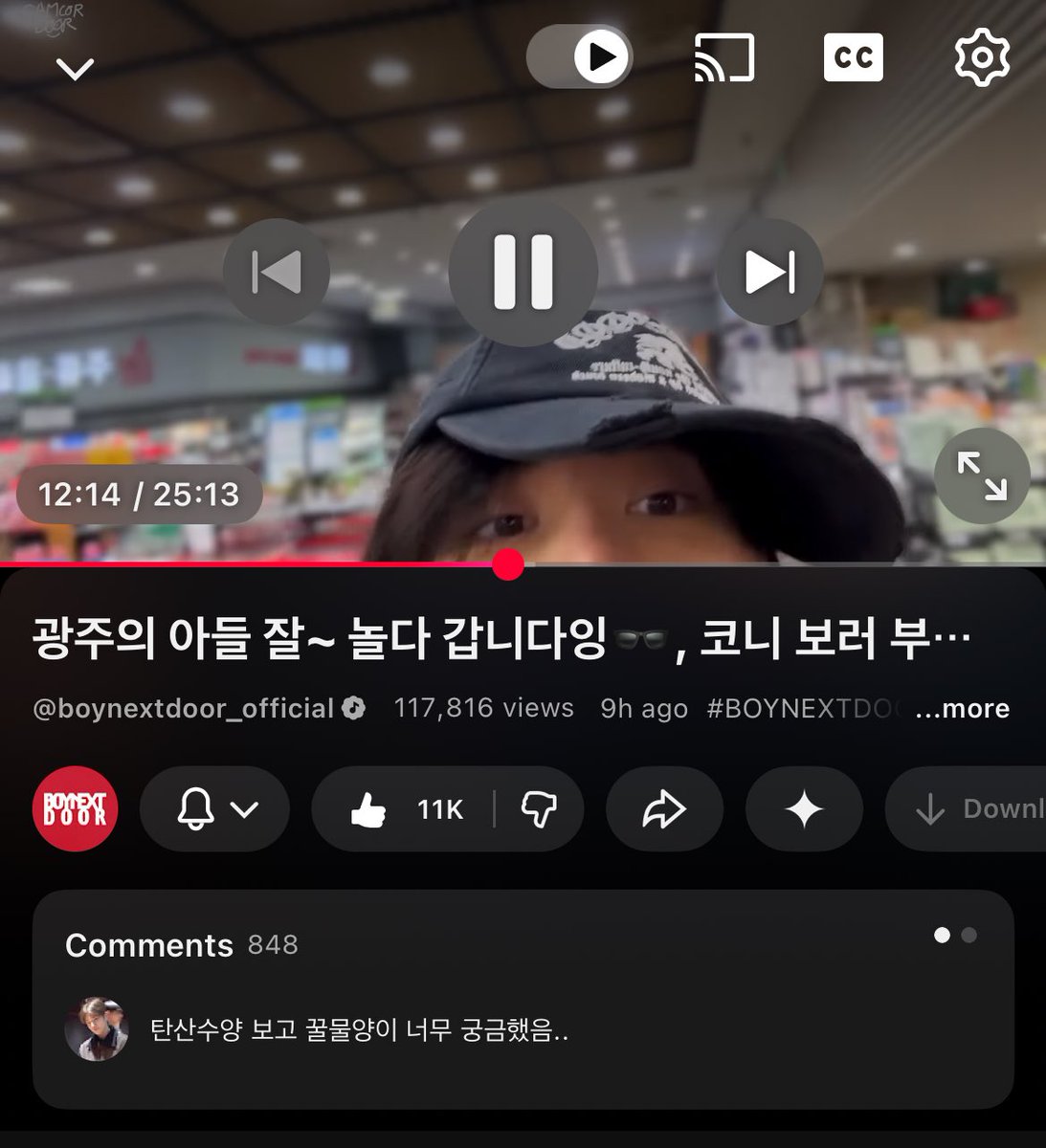 🐈‍⬛ tweet media