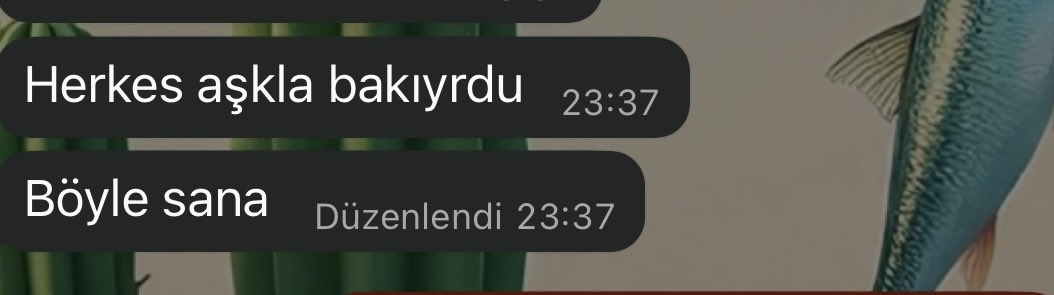 Berivan_gecerr's tweet photo. Toksik insanları hayatımdan çıkartmışımdır go go girl https://t.co/b23w2LAA7d