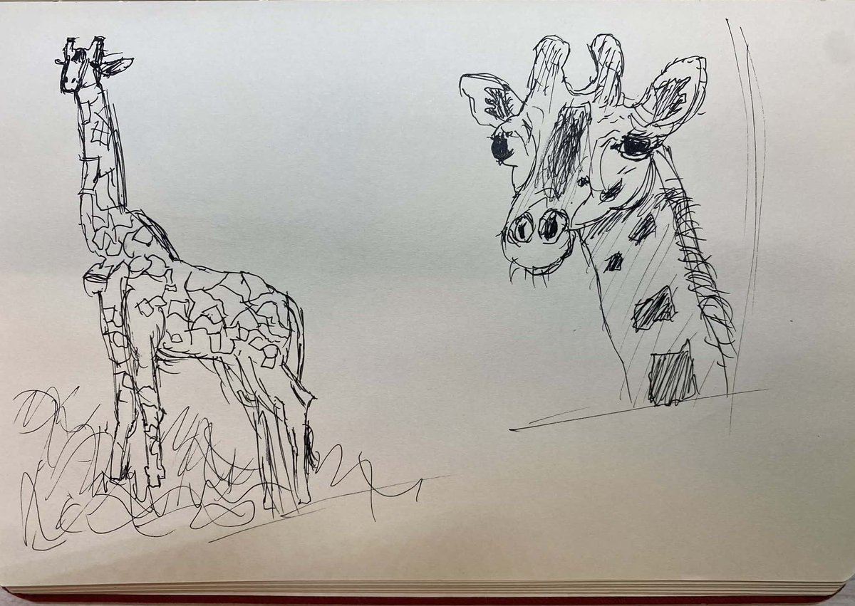 Matheus Gagliardi tweet media