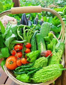 SanjeevKumarRo6's tweet photo. Nature

Vegetables https://t.co/Txdgxk8WKF