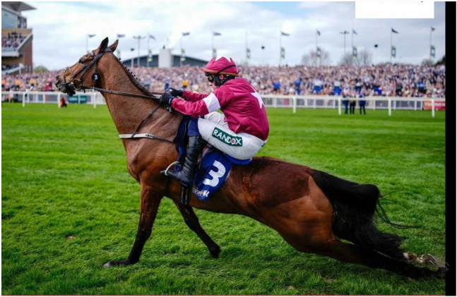 Remember this horse

His name was Gold Dancer

Remember this position he was expected to recover from

Remember they ALL said he broke his back 'post race'

Remember, they took us for fools 🙏🫶🐎

<a href="/BHAHorseracing/">British Horseracing Authority</a> <a href="/BHAStewards/">BHA Stewards</a> <a href="/AintreeRaces/">Aintree Racecourse</a>