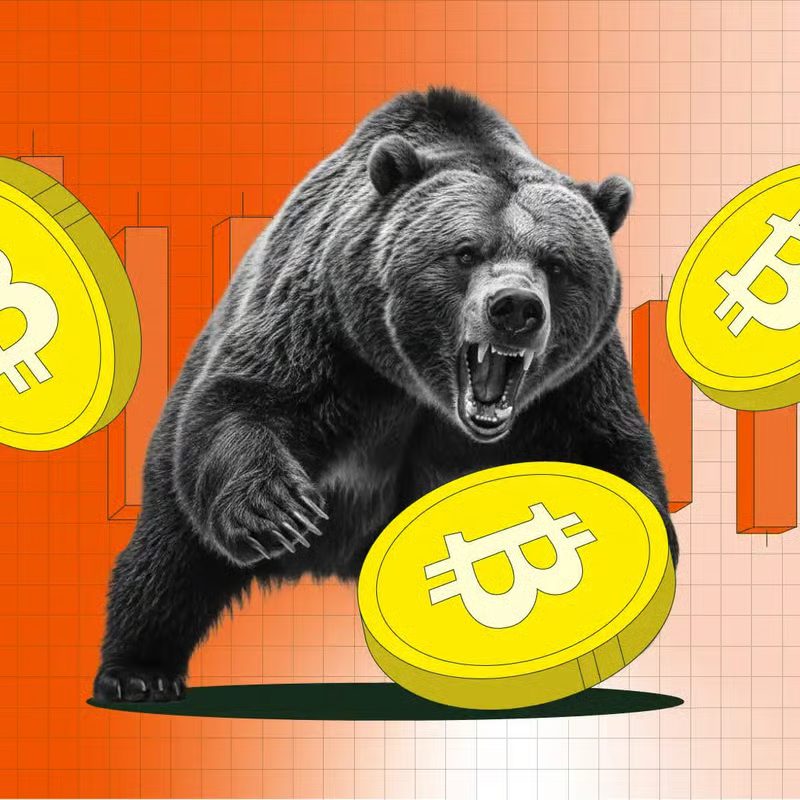CepnikMaciej's tweet photo. ¿Qué pedo con el Bear Market de Bitcoin? 📉

Are you a Mexican Bitcoiner and you're about to cry because your Bitcoin investment sucks so far? 😢

No worries, we organized the perfect event in Mexico City at @LaCasaDeSatoshi! 🇲🇽

We're organizing a support group, just kidding, we'll talk in all seriousness about Bitcoin natural market cycles, debunk the latest FUD, and bring people working in the industry so they can tell us a few tricks to survive the bear market. 

🗓️When: 5th of May (6-9 PM) 
🏠Where: La Casa de Satoshi
🍻Aureo will sponsor the beers! 

Check the link in the comments to RSVP 👇