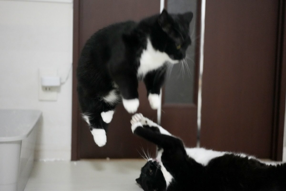 I'm Uni :3 tweet media