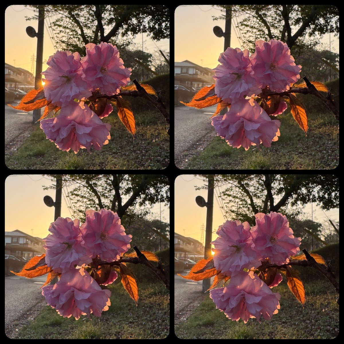 むっちゃん tweet media