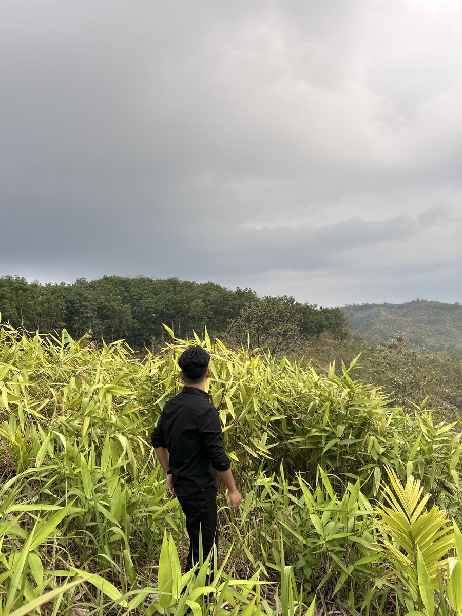 zoom_ne's tweet photo. Lost in green https://t.co/3kYLo84crD