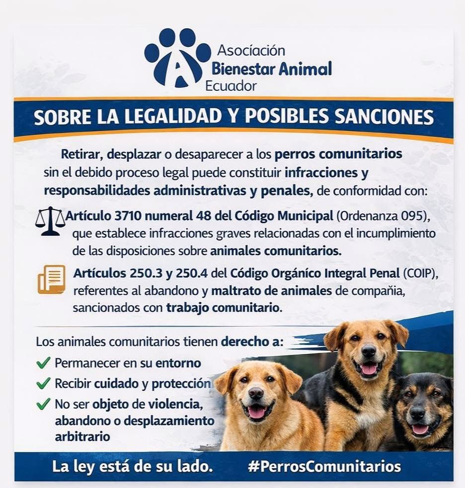 piensalo_verde's tweet photo. Estudiantes de la #UCE rechazan reubicación de perros comunitarios

El pedido para trasladarlos generó rechazo estudiantil y de organizaciones, que recordaron que están protegidos por normativa.

⚠️ Piden diálogo y respeto. #ProtecciónAnimal https://t.co/ngC68BNGPh