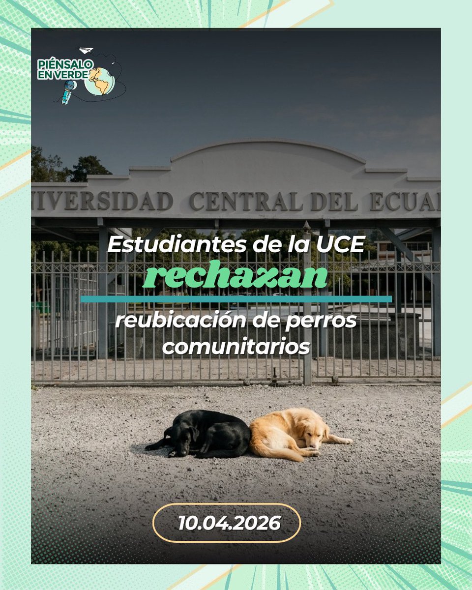 piensalo_verde's tweet photo. Estudiantes de la #UCE rechazan reubicación de perros comunitarios

El pedido para trasladarlos generó rechazo estudiantil y de organizaciones, que recordaron que están protegidos por normativa.

⚠️ Piden diálogo y respeto. #ProtecciónAnimal https://t.co/ngC68BNGPh