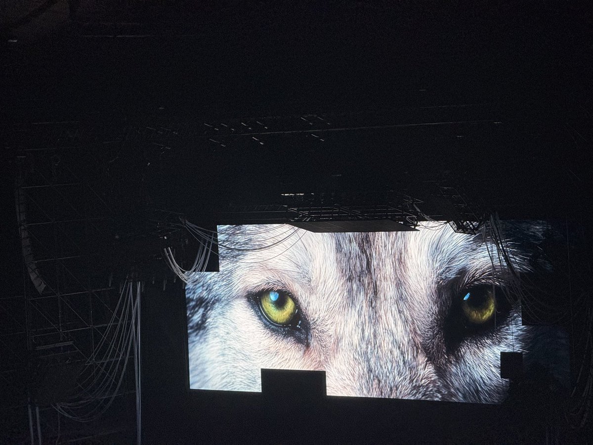 ㍉⋆ (@natananone) / Posts / X