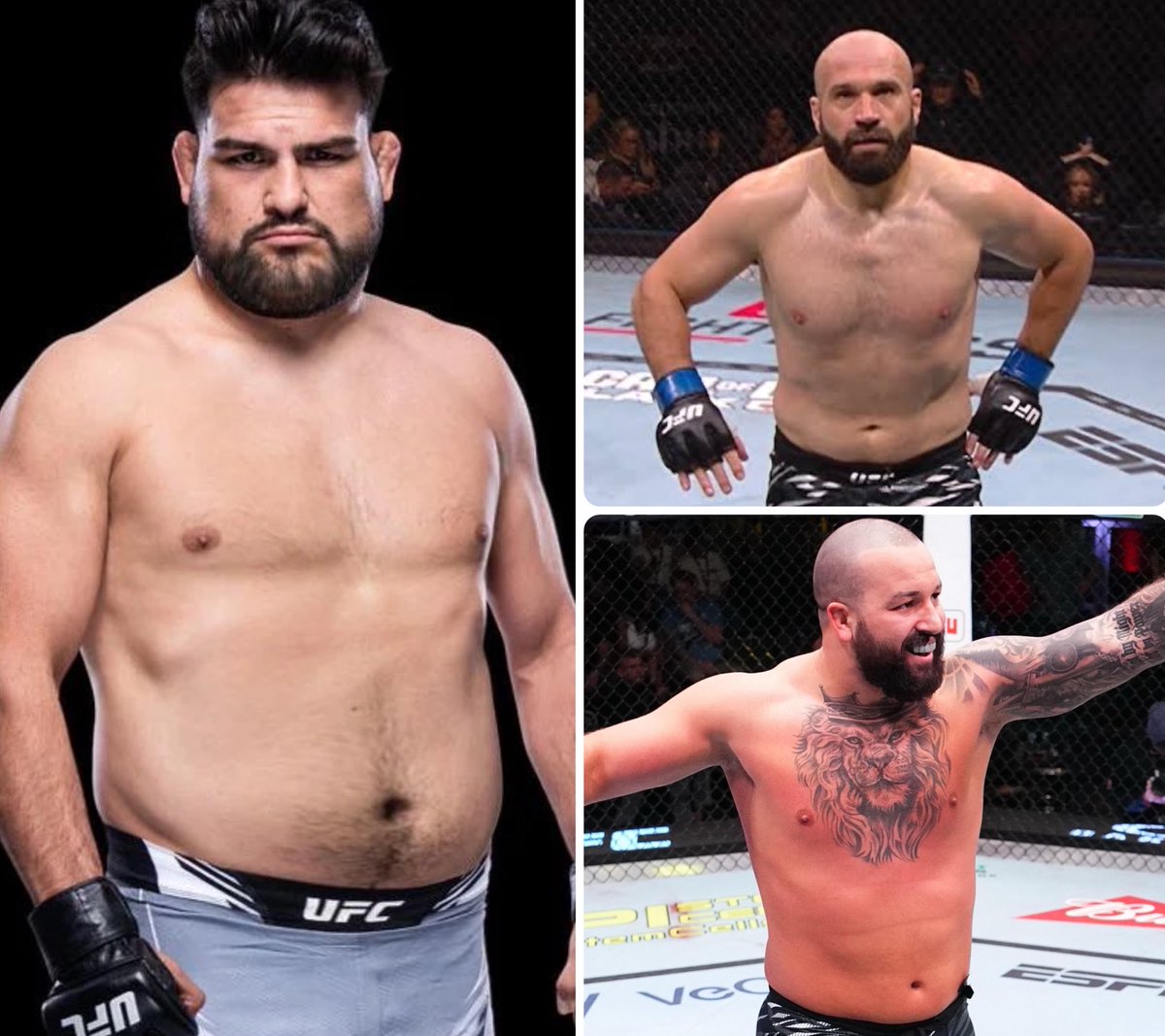 Martys Hairline tweet media