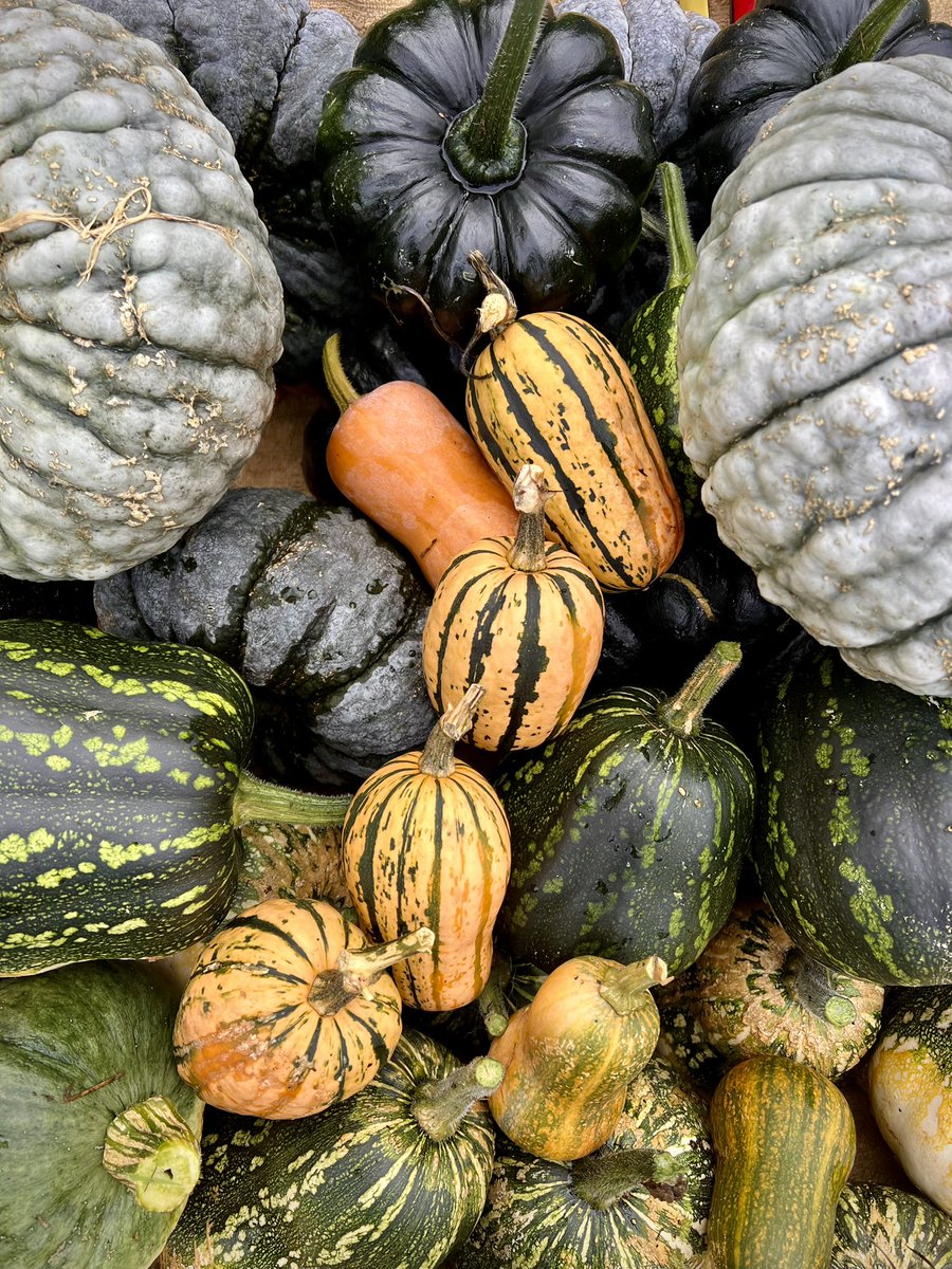 The Last Farm tweet media