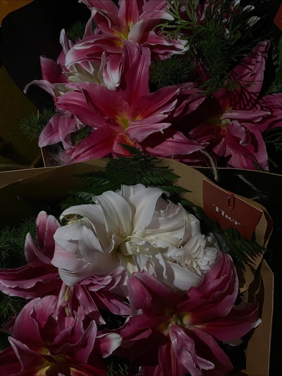 Zoe Thomps tweet media