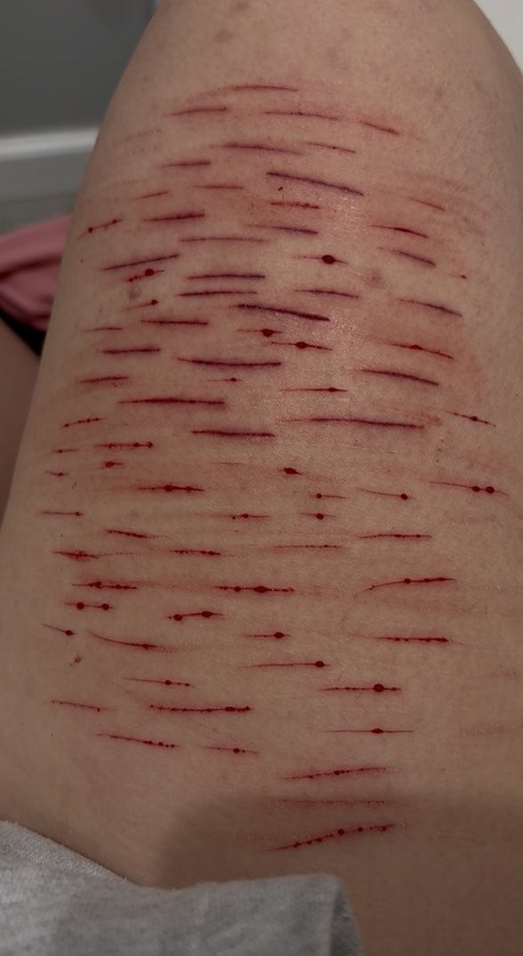 ame of shedtwt tweet media