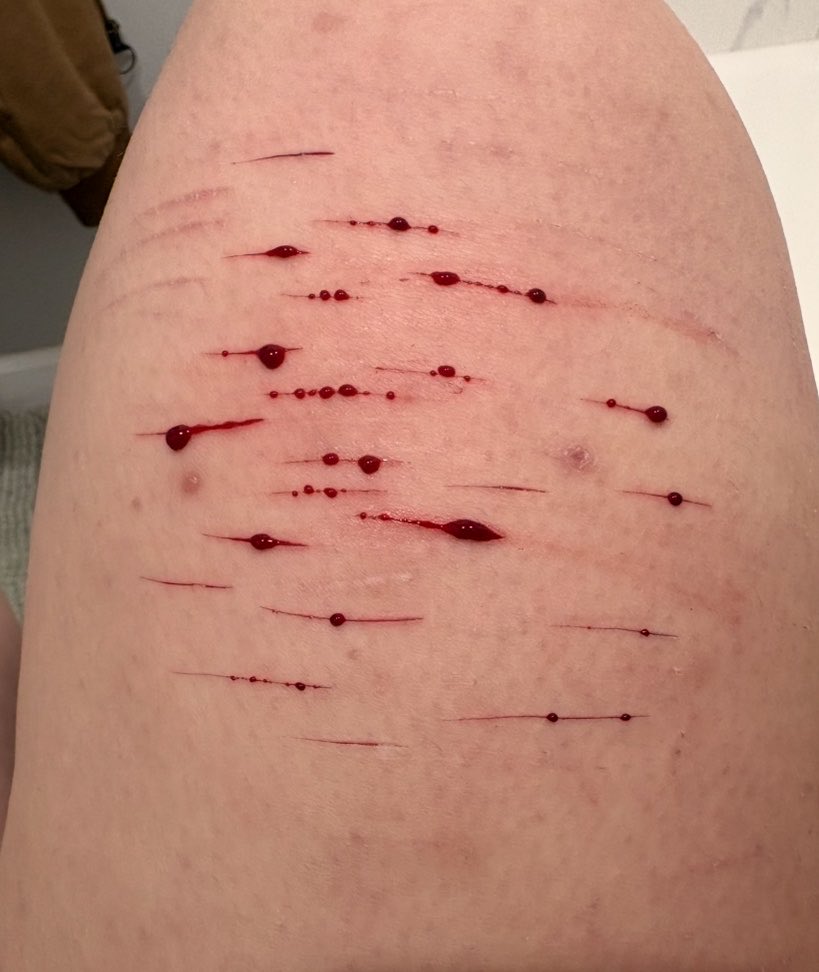 ame of shedtwt tweet media