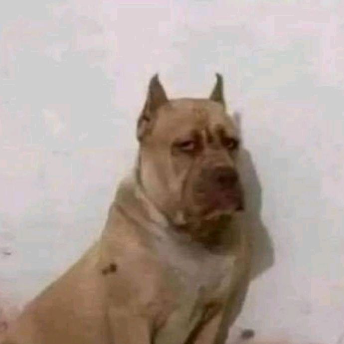 General Ramírez tweet media