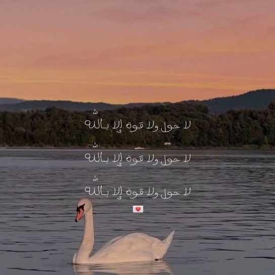 تَذكير بِالله tweet media