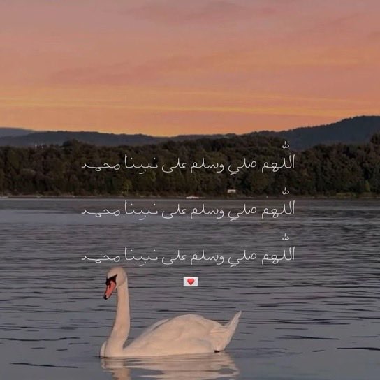 تَذكير بِالله tweet media