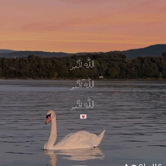 تَذكير بِالله tweet media