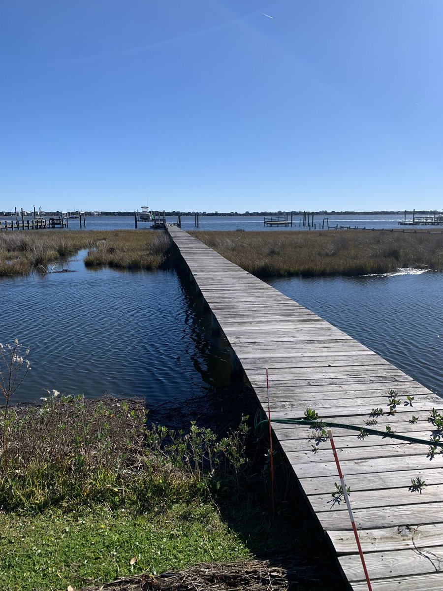 Ash_Trades tweet media