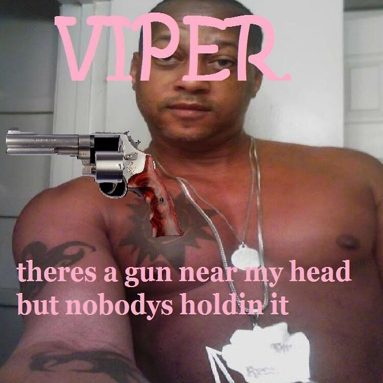 orchidacea tweet media