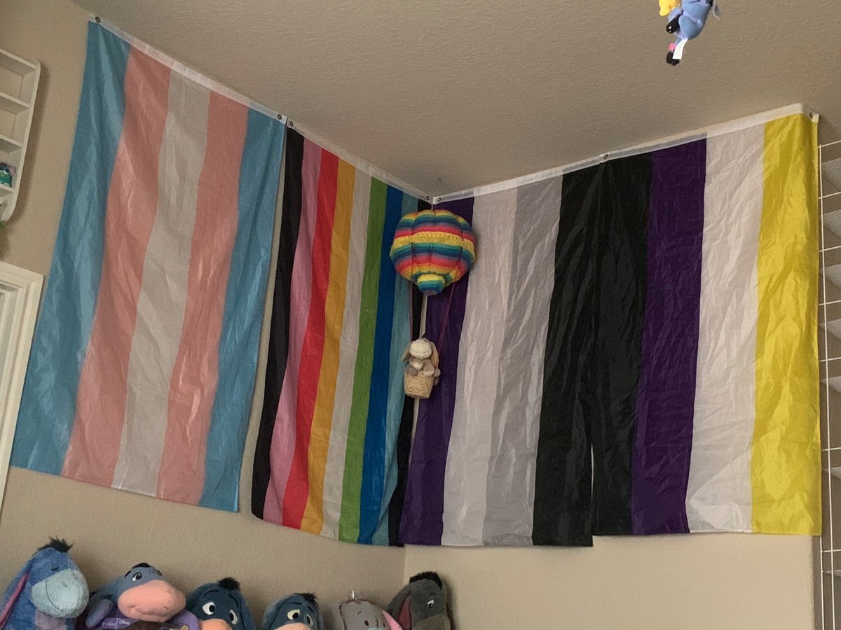 Putting my flags up I'm fucking cryning why the nonbinary shorter than the rest