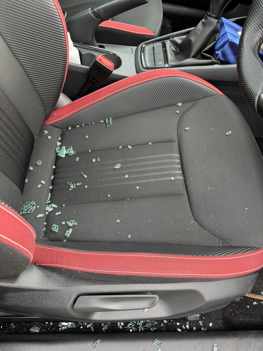 muir driving school tweet media