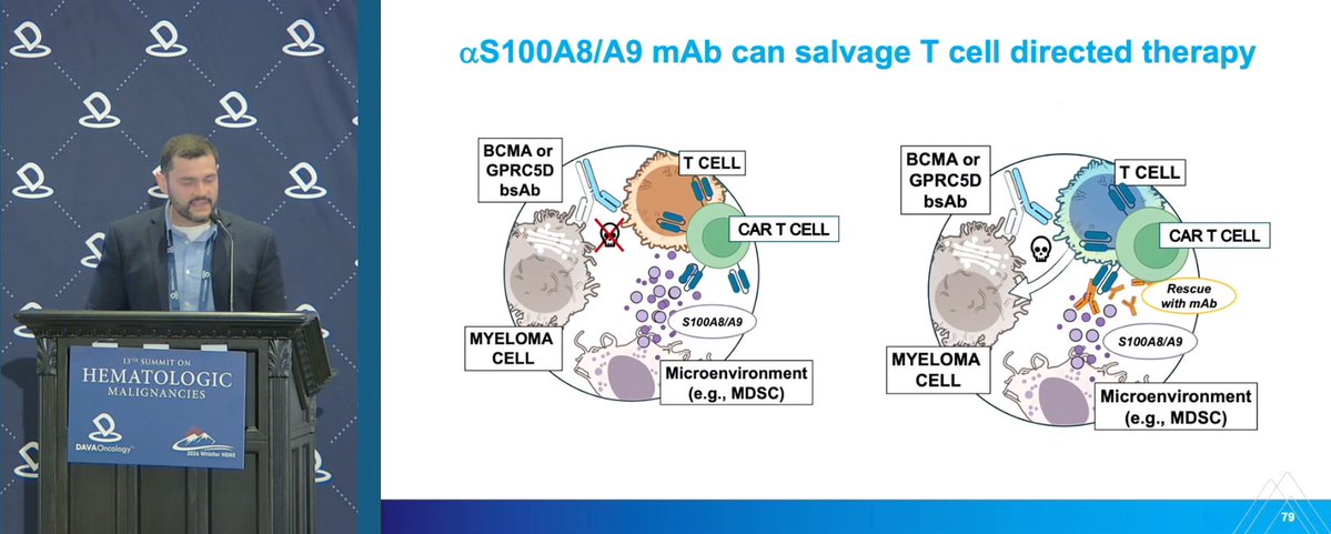 DAVA Oncology tweet media