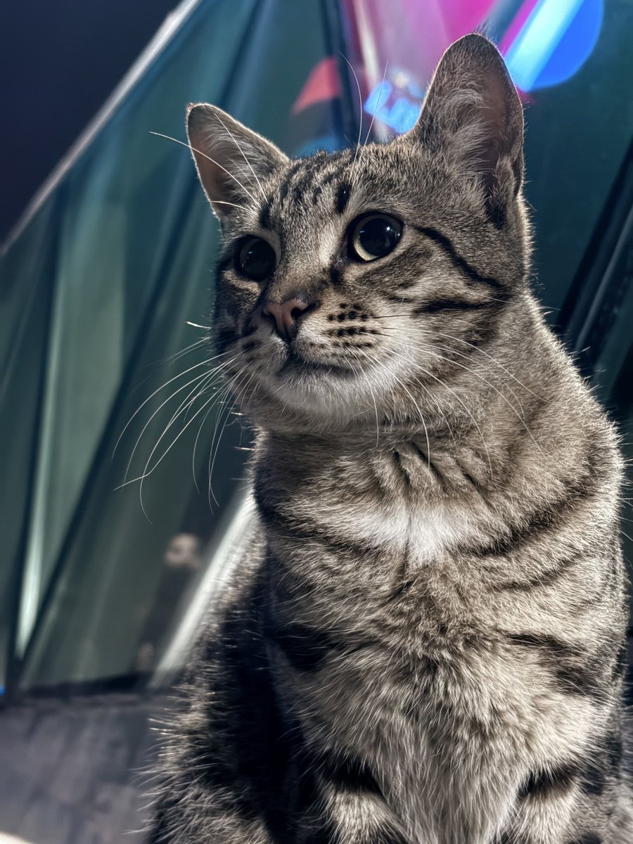 ❄️ Weather_tr ❄️ tweet media