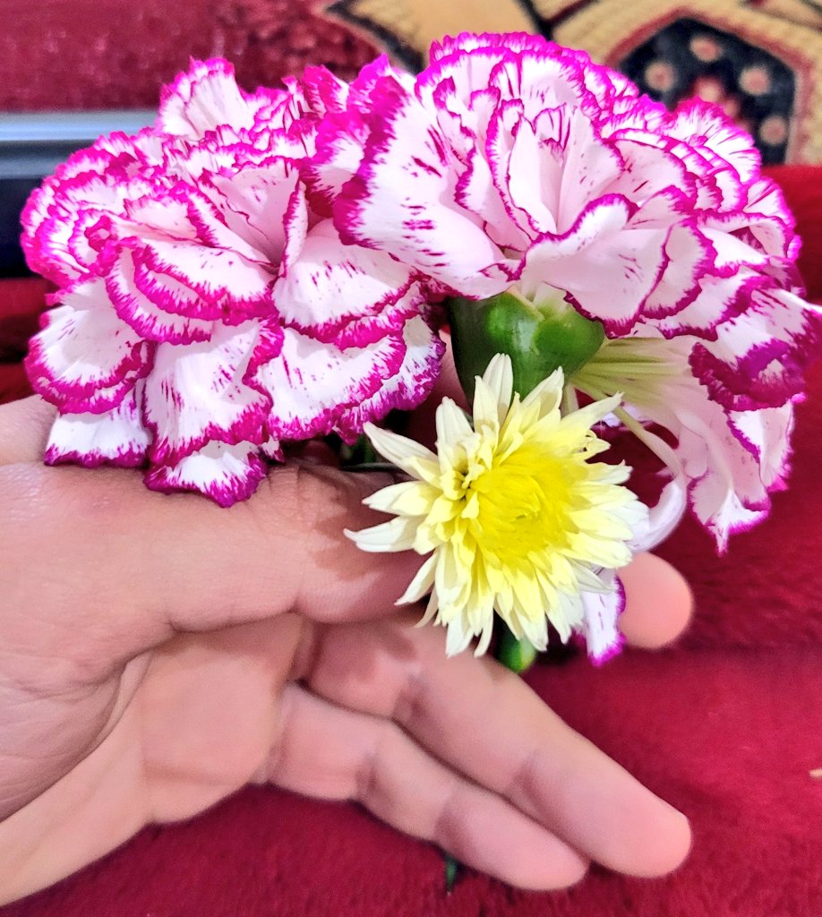 ابـــــــولارين𝐌𝐨𝐡𝐚𝐦𝐦𝐞𝐝 tweet media