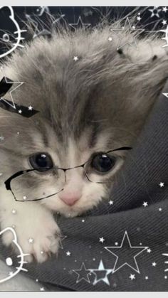 _whosnqo tweet media