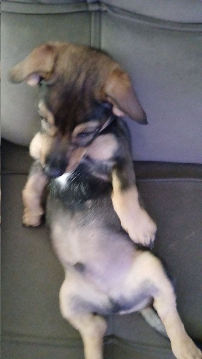 rafa | ☆ tweet media