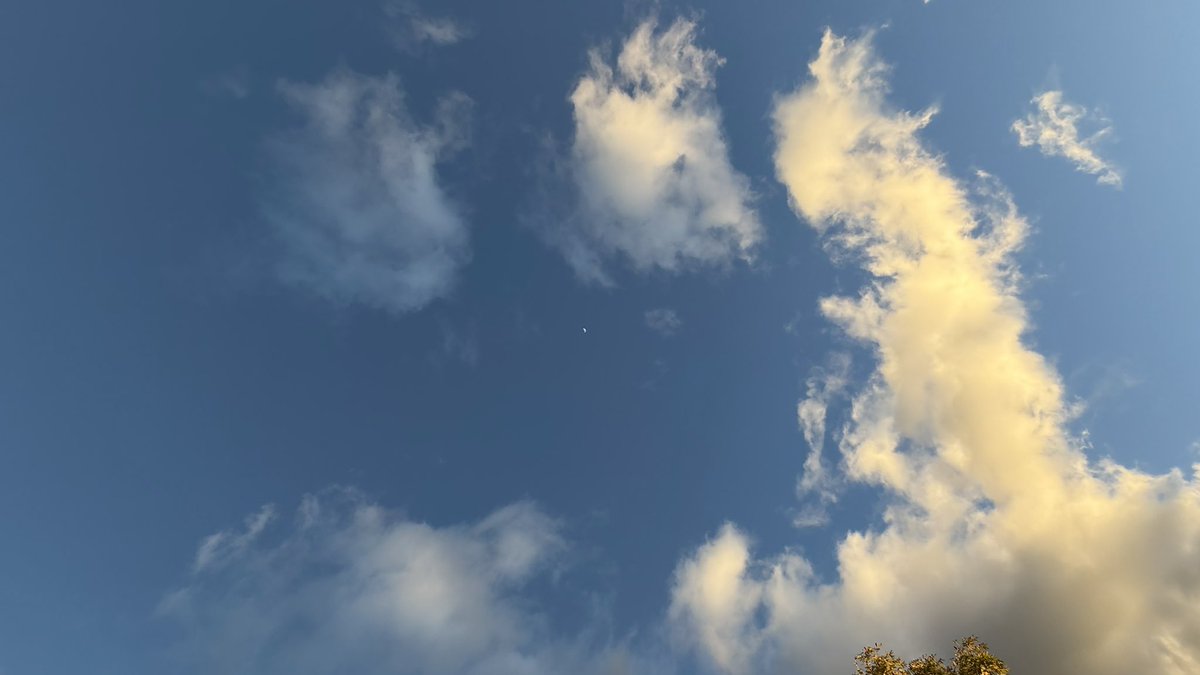 wapple15's tweet image. Good morning #Canberra 🌓🌤️