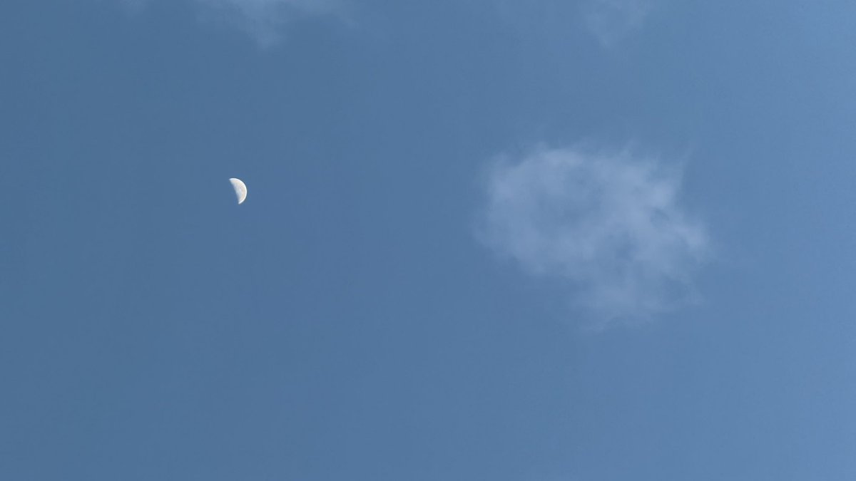 wapple15's tweet image. Good morning #Canberra 🌓🌤️