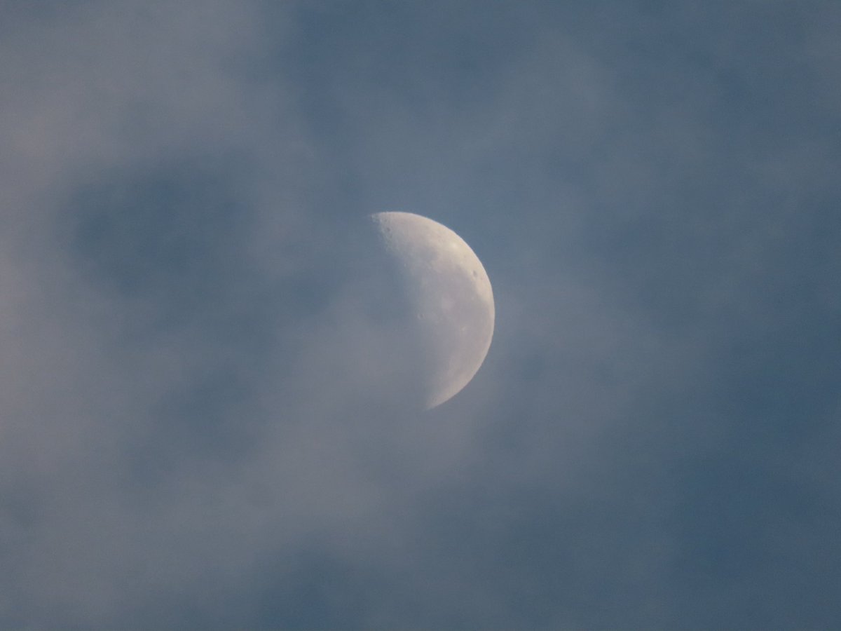 wapple15's tweet image. Good morning #Canberra 🌓🌤️