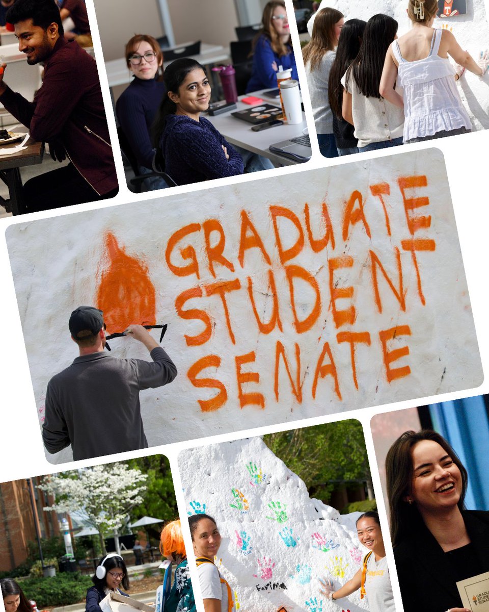 UT Graduate School tweet media