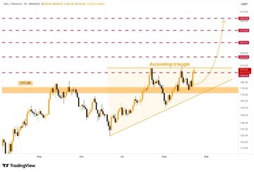 oct_trquynhh tweet media