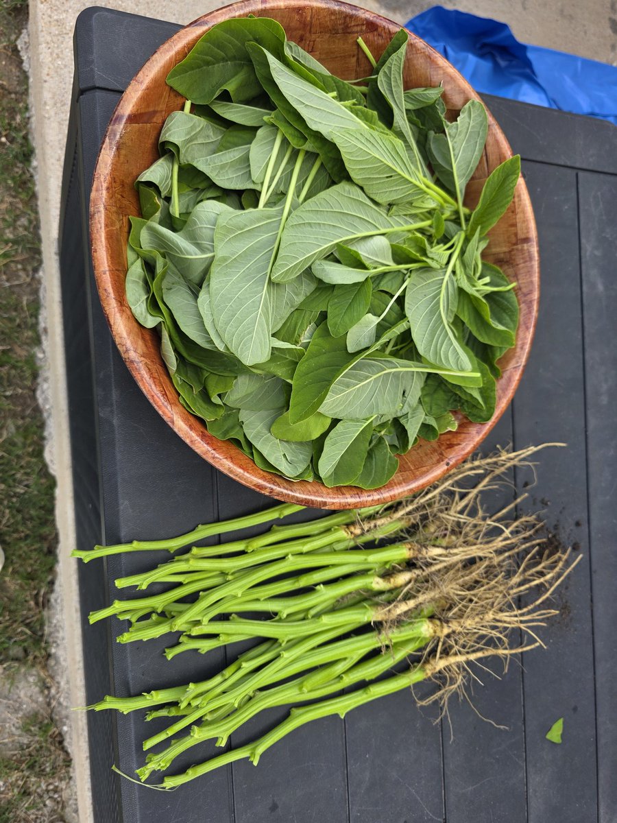 Sir Teeman tweet media